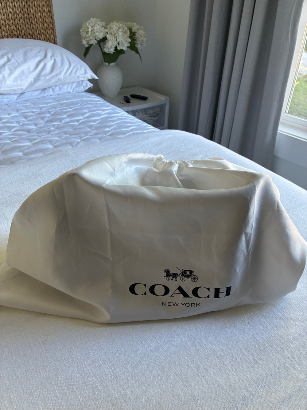 Coach Chelsea 36 Dark Chocolate Almost Like New - Picture 15 of 15